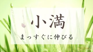 2024年小満のスピリチュアルな過ごし方【まっすぐに伸びる】