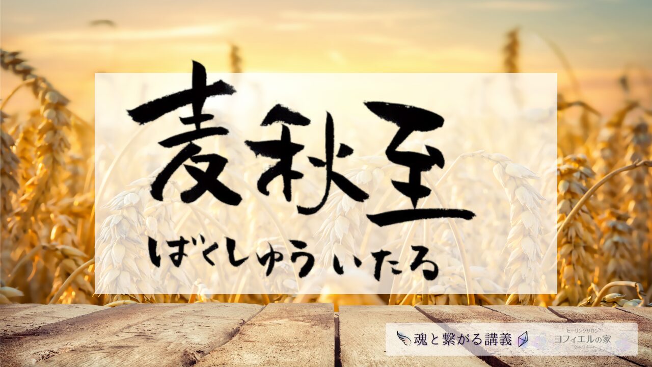 夕暮れの麦畑と木の台の上に表示された「麦秋至（ばくしゅういたる）」の文字。収穫のエネルギーが満ちる風景。