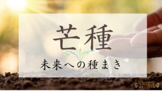 2024年芒種（ぼうしゅ）のスピリチュアルな過ごし方【未来への種まき】