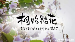 桐始結花（きりはじめてはなをむすぶ）の意味とスピリチュアルな過ごし方