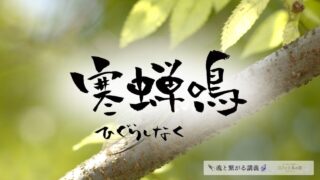 寒蝉鳴（ひぐらしなく）の意味とスピリチュアルな過ごし方