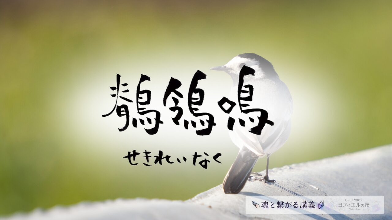 鶺鴒鳴（せきれいなく）の意味とスピリチュアルな過ごし方