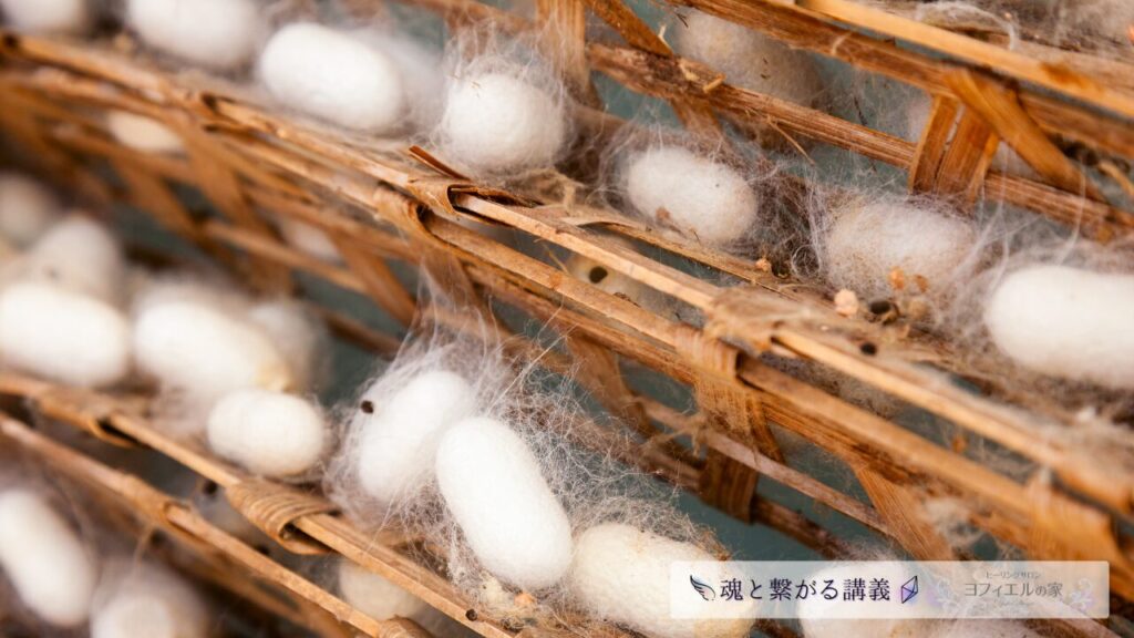 竹製の飼育棚に整然と並ぶ白い蚕の繭。繭から細かい糸が広がり、養蚕の静かな営みが感じられる。