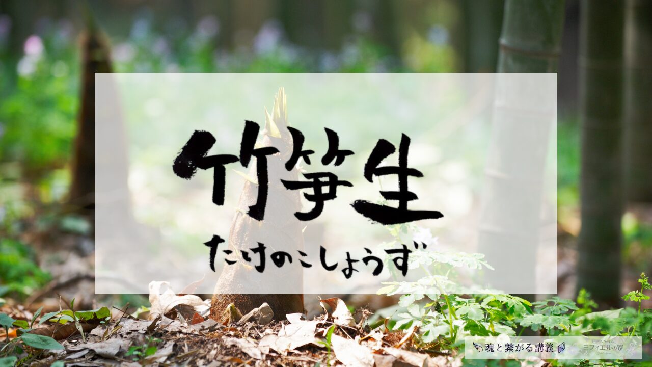 春の竹林で芽を出したたけのこを中心に据えた、竹笋生（たけのこしょうず）を表す写真アイキャッチ