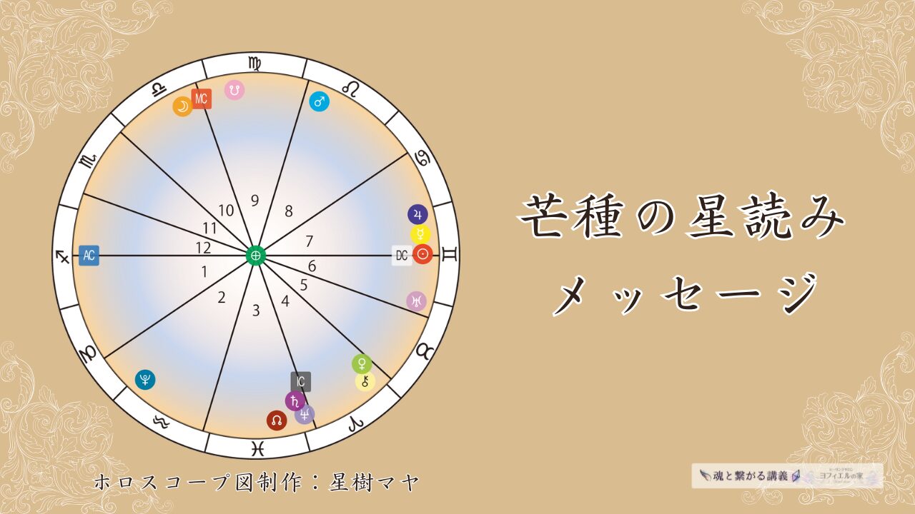 2025年芒種の星読みと魂のメッセージ|そらのかざね